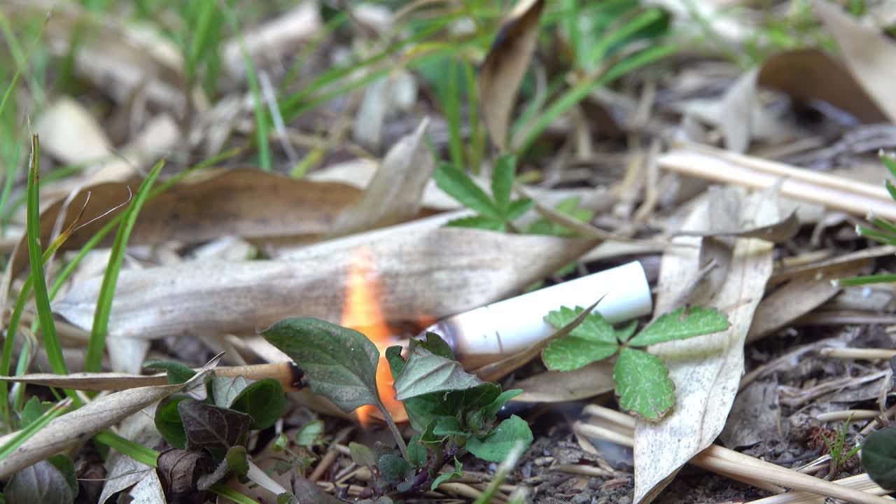 森林里的火灾是由于没有熄灭的香烟引起的。视频素材