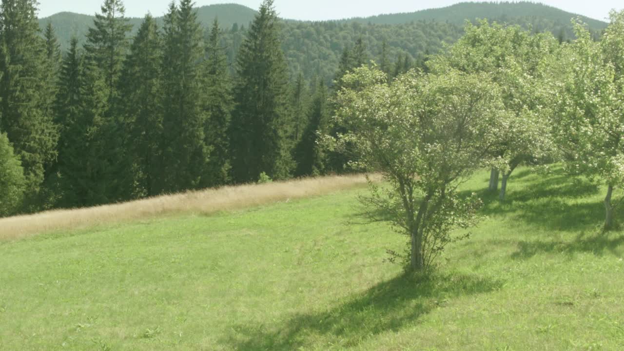 草原和群山视频素材