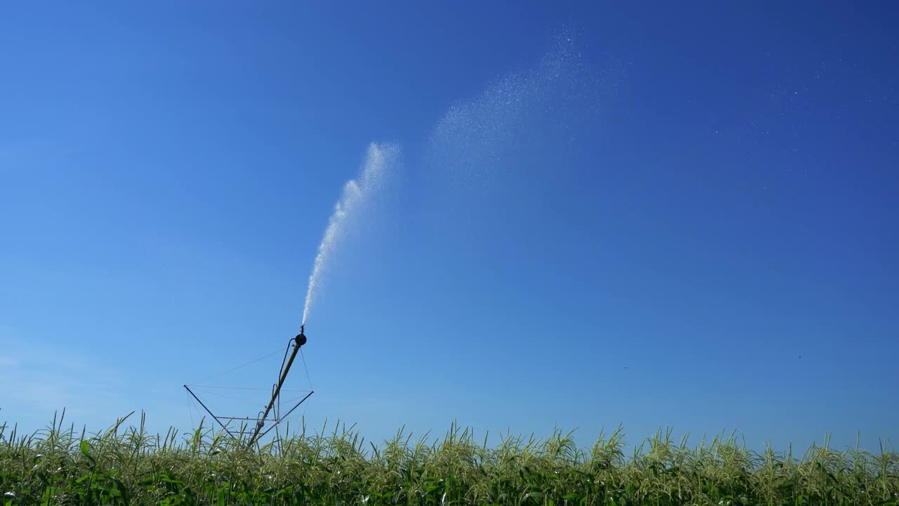 农田喷水器，蓝天洒水视频素材