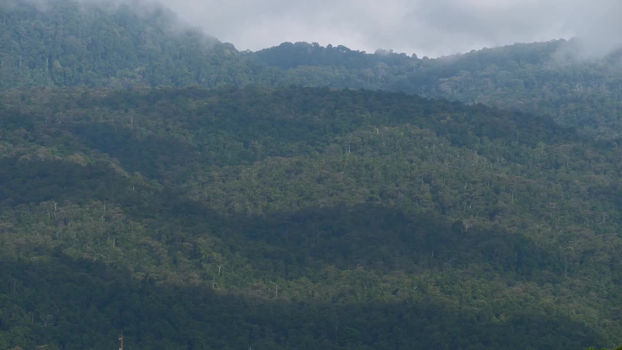 快速关闭b卷场景的阴影从多云的天空爬过森林树木的山视频素材