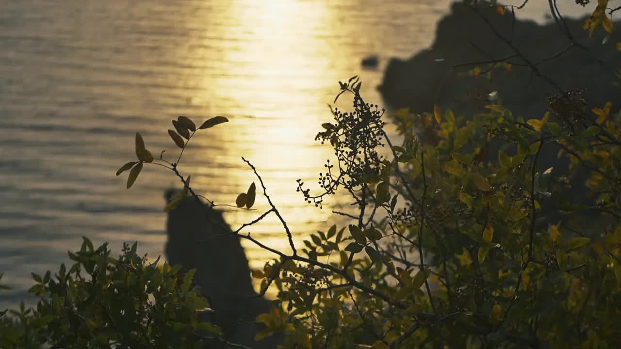 美丽的日落映照在海面上。海滨上一个宁静的夜晚。视频素材