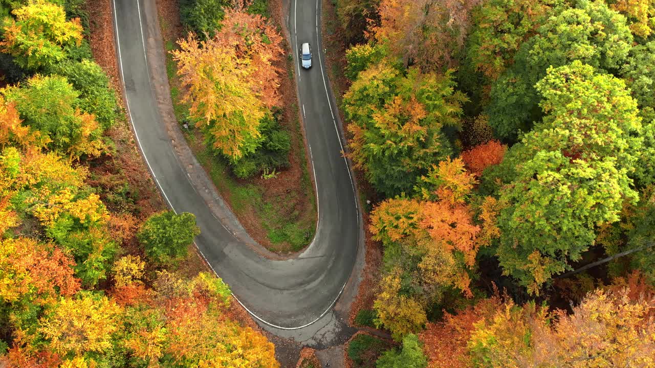 鸟瞰图的道路弯道在一个多彩的秋天森林视频素材