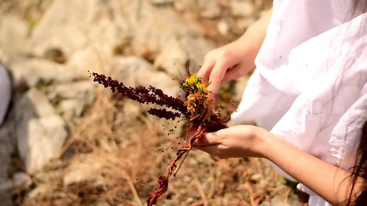 朋友们坐在湖边视频素材