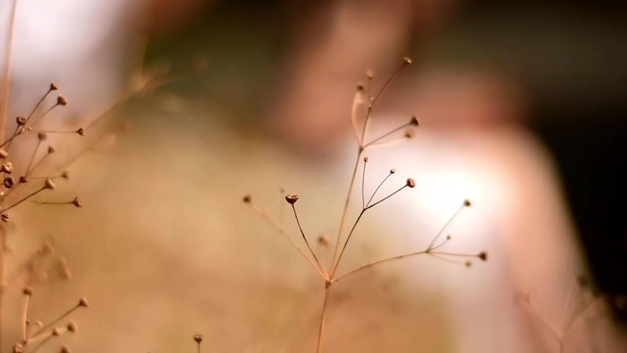 朋友们坐在湖边视频素材