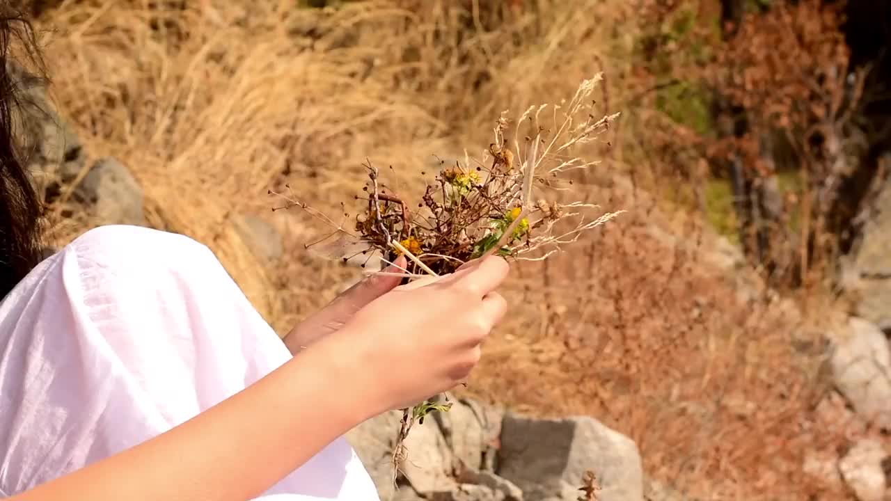 朋友们坐在湖边视频素材