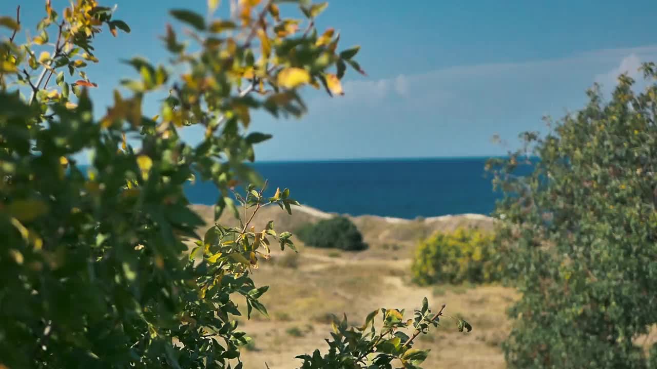 白天美丽的海面，平静的波浪在岸边翻滚。视频素材