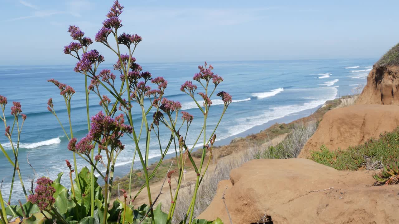 海景点，德尔马托里松，美国加利福尼亚海岸。大海涨潮，碧波远眺视频素材