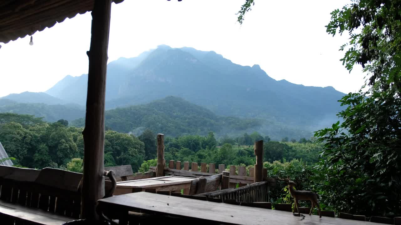 木制阳台上有一只鸟，晚上可以看到美丽的山景视频素材