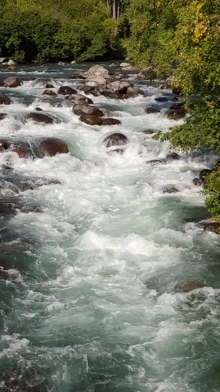 这条河野生视频素材