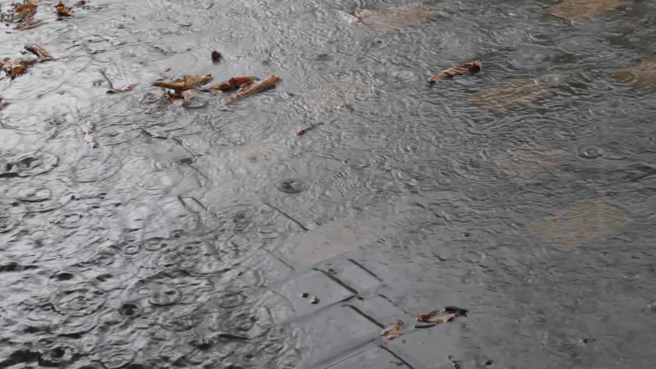 大滴大雨落在带有水坑的潮湿沥青上视频素材