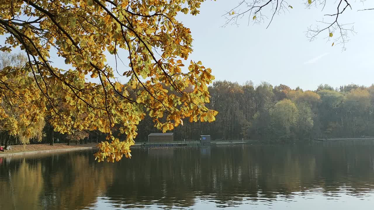 城市公园里水库的秋景视频素材