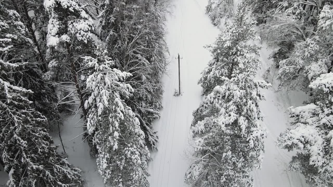 新年的冬季森林被奇妙的雪覆盖，鸟瞰。视频素材