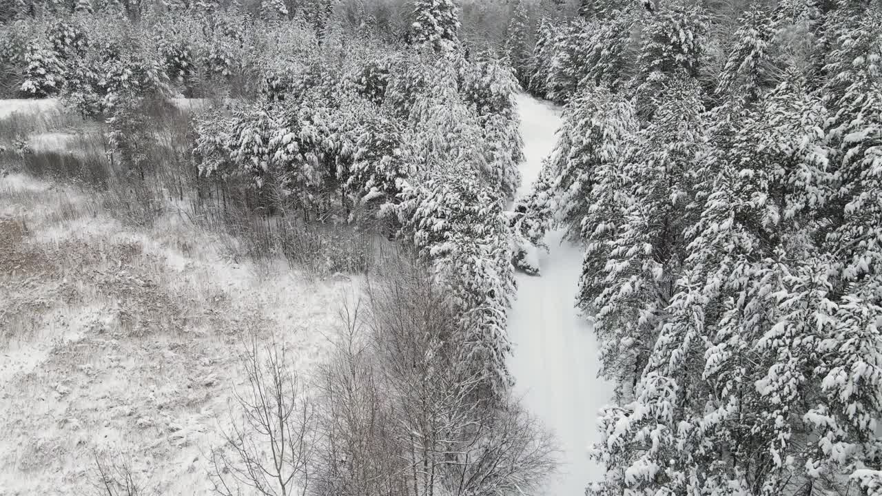 圣诞冬季森林神奇地覆盖着雪，鸟瞰图。视频素材