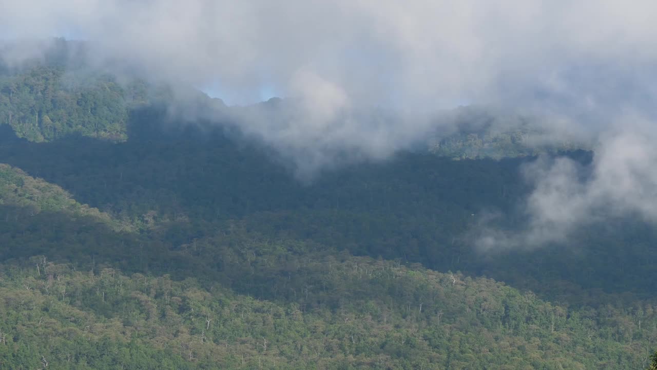 快速关闭b卷场景的阴影从多云的天空爬过森林树木的山视频素材