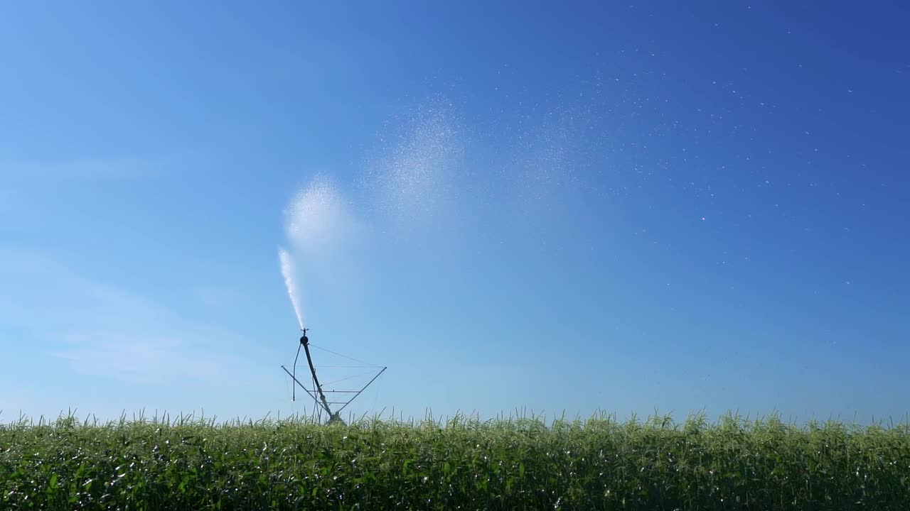 玉米田的农业喷水器在蓝天下喷洒水-慢动作视频素材