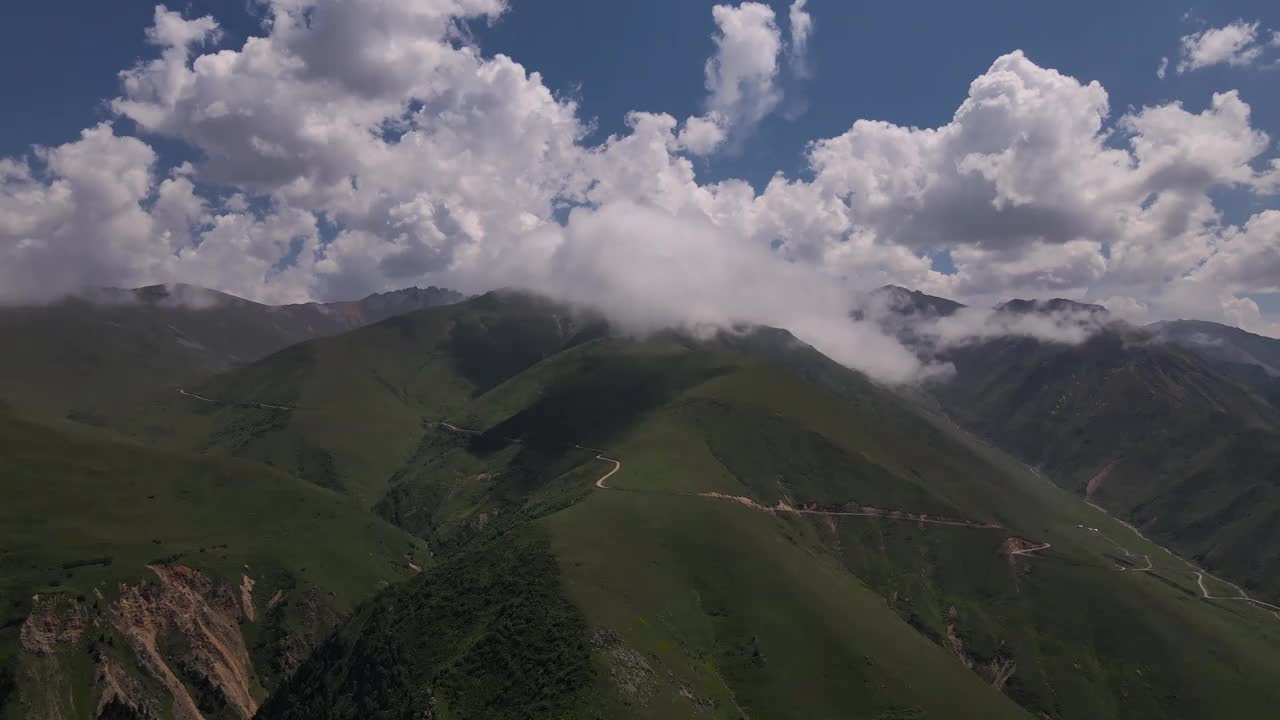 高山草甸视频素材