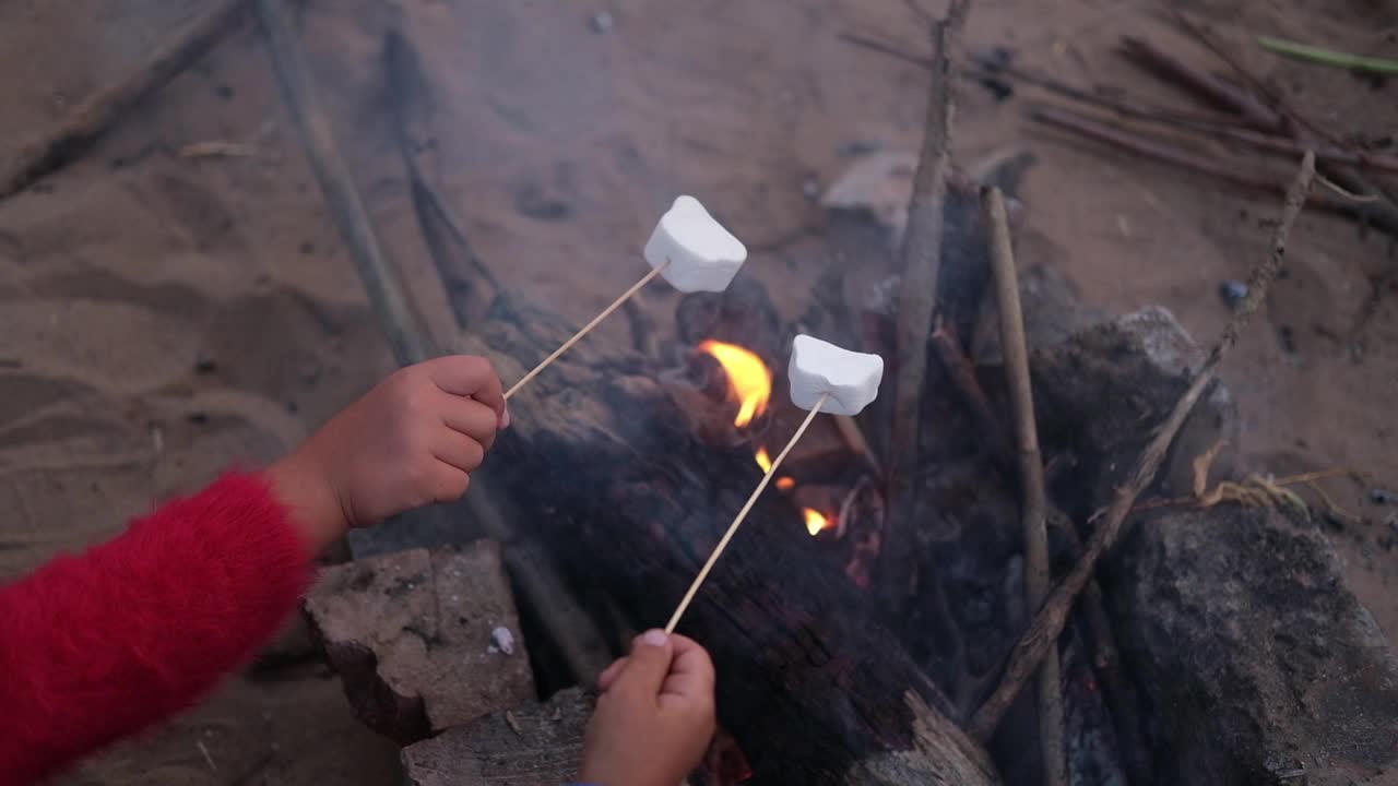 两个孩子在森林里的营火上烤棉花糖视频下载