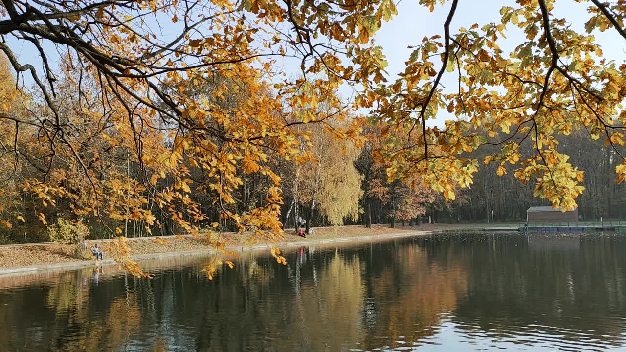 城市公园里水库的秋景视频素材