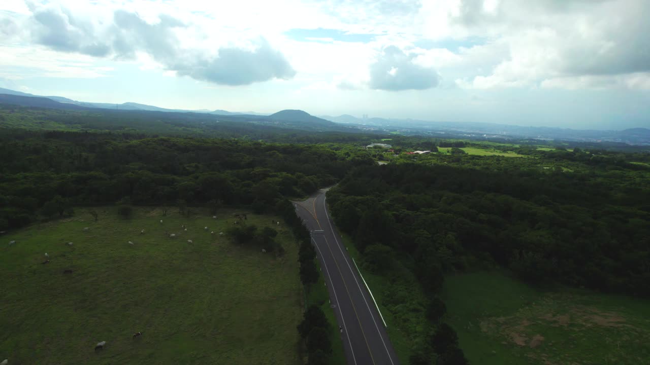 有马和路的马牧场/济州岛，济州岛，韩国视频素材