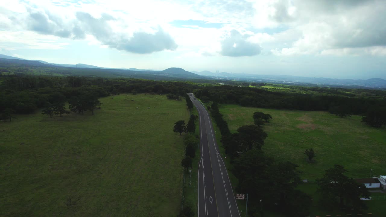 有马和路的马牧场/济州岛，济州岛，韩国视频素材