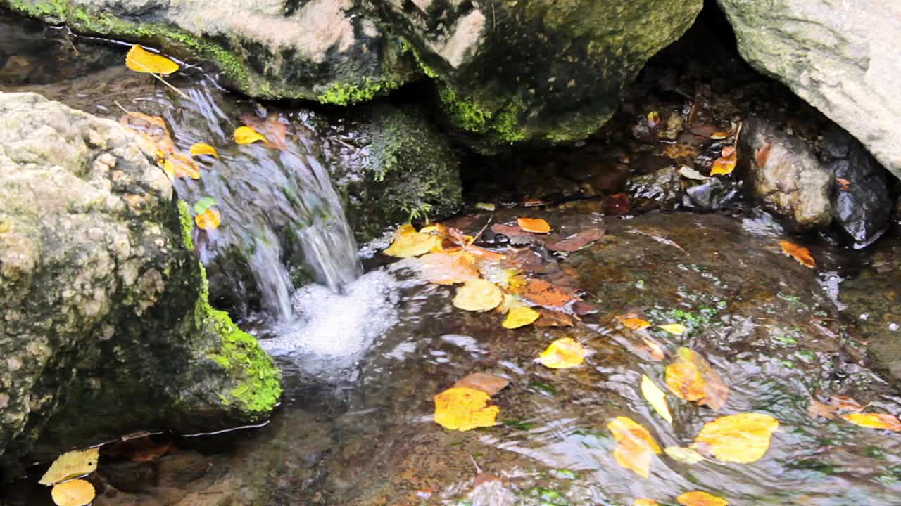 落叶落在一个小瀑布里。自然在秋天。河上由石头构成的门槛视频素材