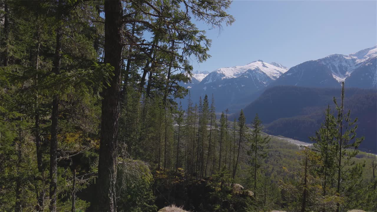 在阳光明媚的春天，加拿大山景的全景。视频素材