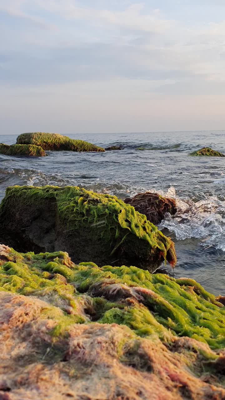 在黑海海岸宁静的夜晚，在岩石沙滩上舒缓的波浪视频素材