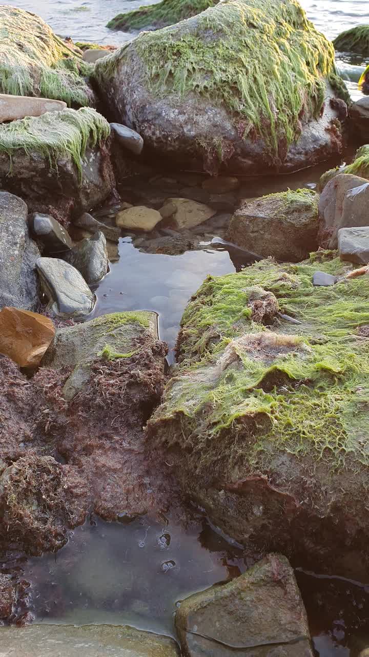 在黑海海岸宁静的夜晚，在岩石沙滩上舒缓的波浪视频素材