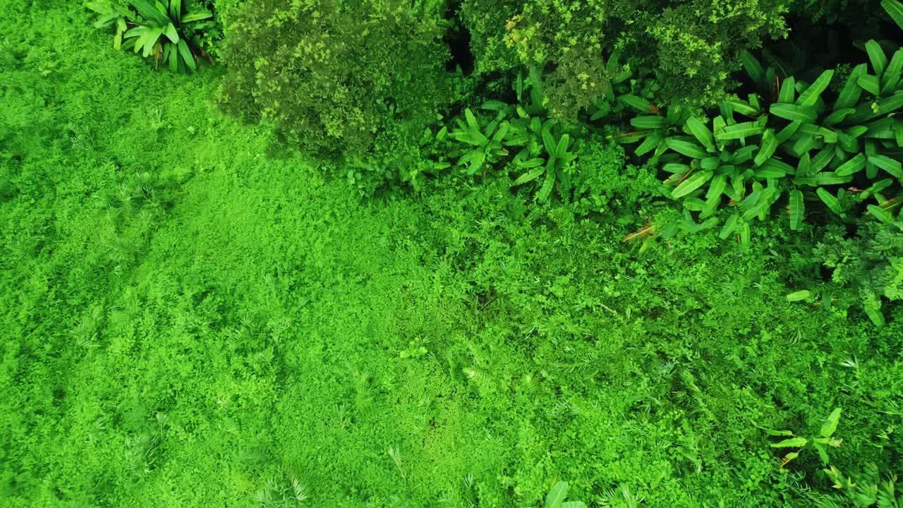 鸟瞰无人机拍摄的流动的雾波在山区热带雨林在晚上，鸟瞰图像在云上惊人的自然背景与云和山峰。视频素材