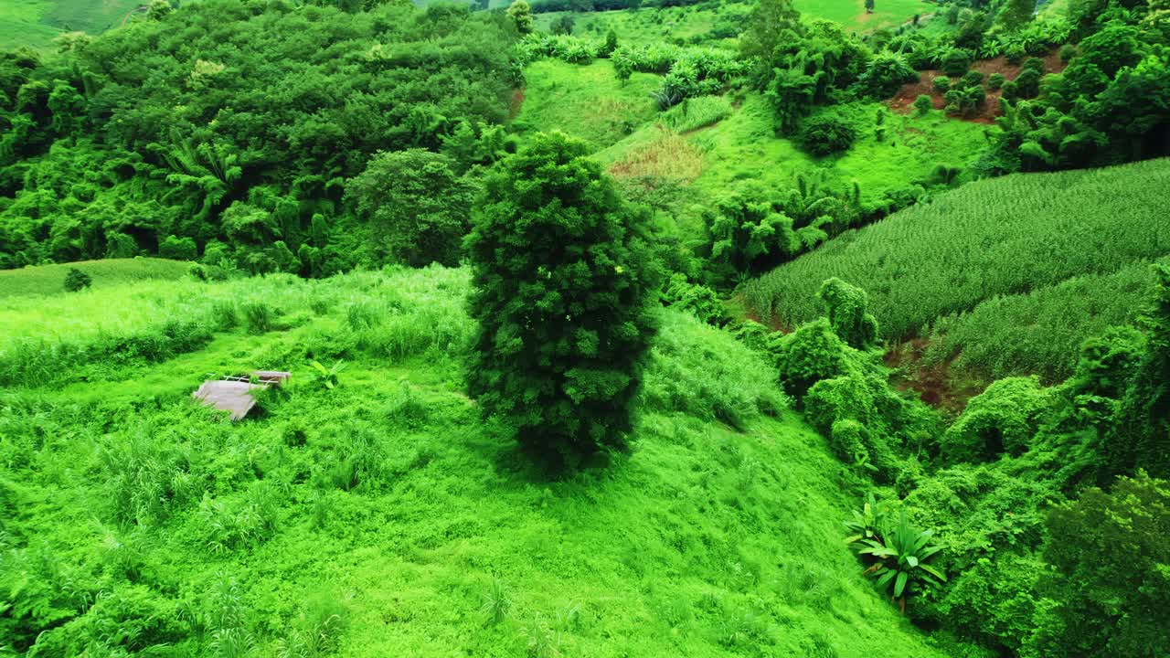 鸟瞰无人机拍摄的流动的雾波在山区热带雨林在晚上，鸟瞰图像在云上惊人的自然背景与云和山峰。视频素材