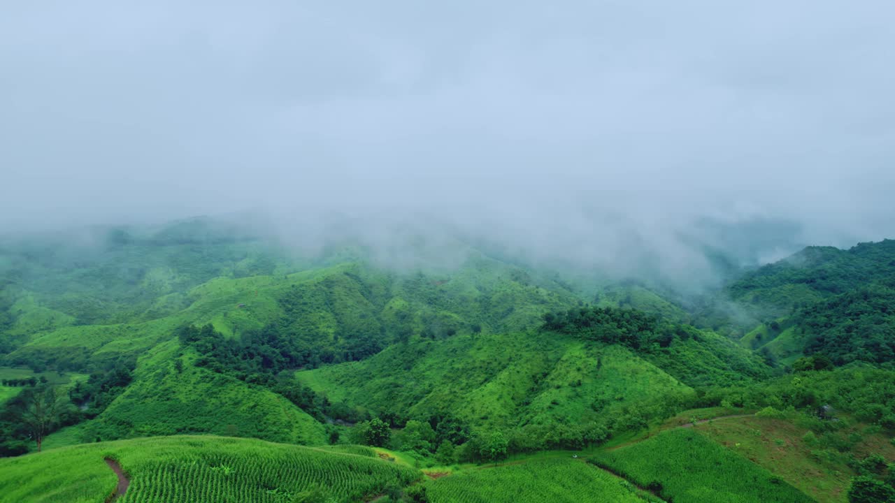 鸟瞰无人机拍摄的流动的雾波在山区热带雨林在晚上，鸟瞰图像在云上惊人的自然背景与云和山峰。视频素材