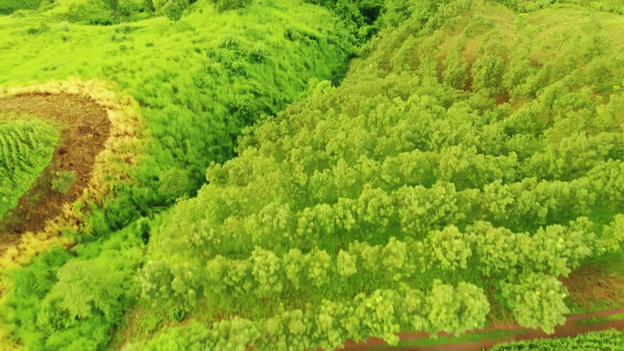 鸟瞰无人机拍摄的流动的雾波在山区热带雨林在晚上，鸟瞰图像在云上惊人的自然背景与云和山峰。视频素材