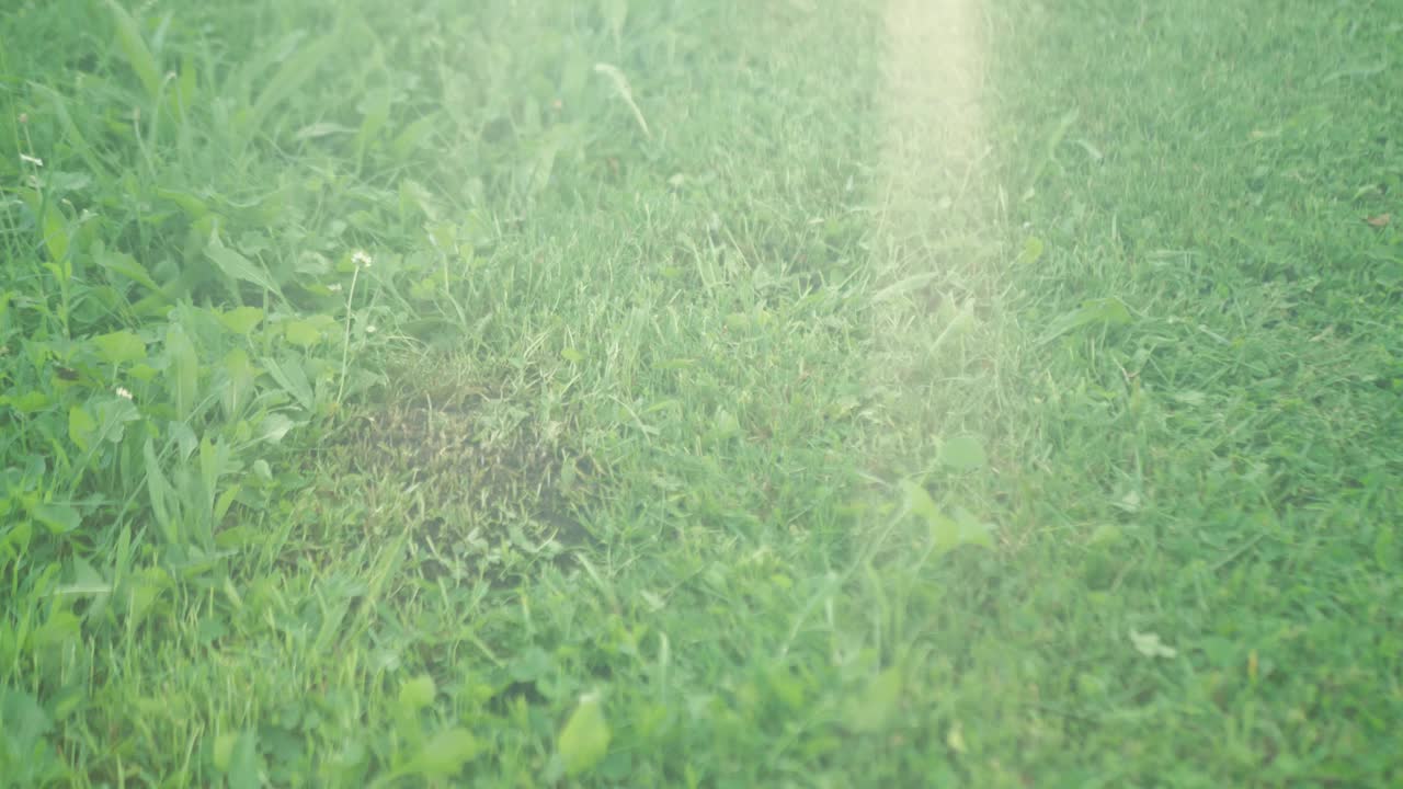 一名男子在后院用电动割草机割草。慢动作视频素材