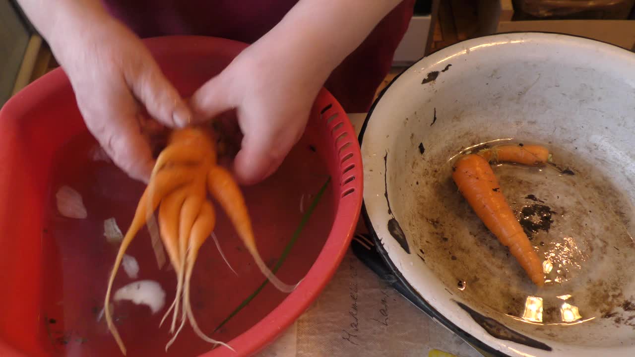 女人在水里洗胡萝卜。视频素材