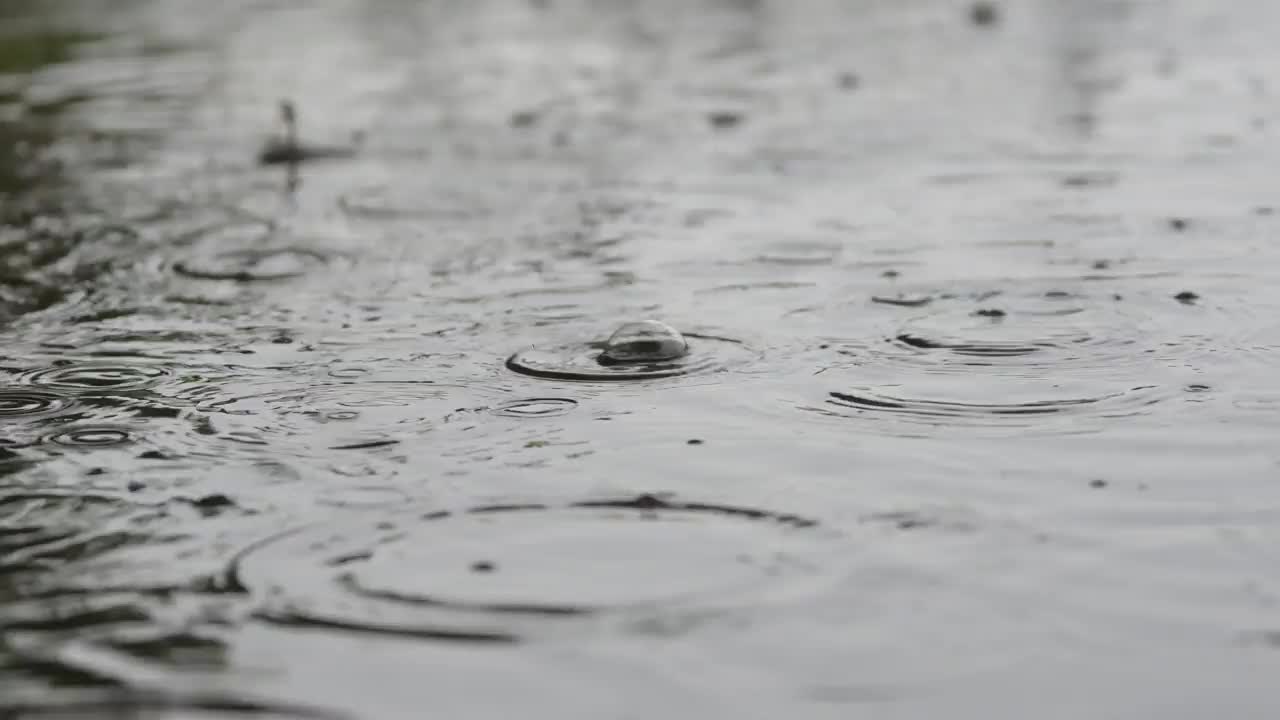 雨中的水视频素材