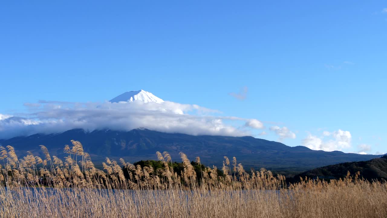 秋天的富士山川口湖视频素材