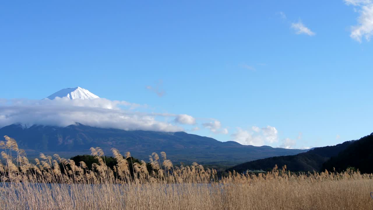 秋天的富士山川口湖视频素材