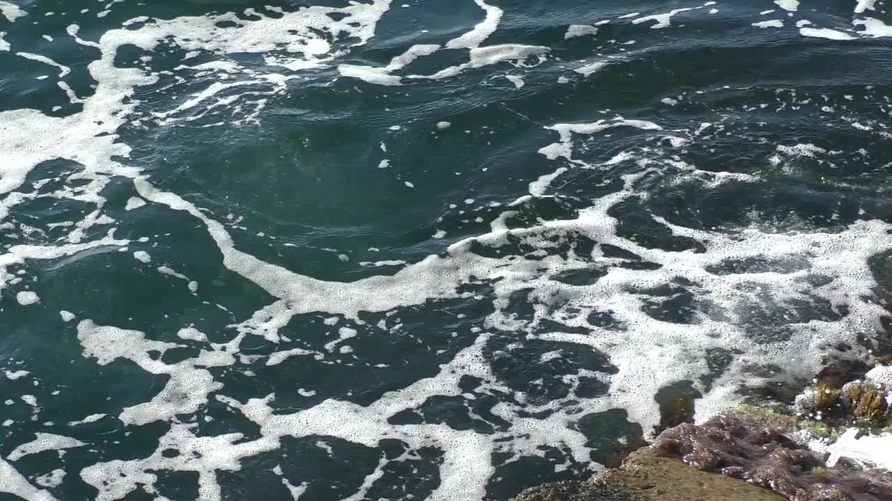 岩石被海藻覆盖，并浮出海面。海浪滚过岩石。海景。海浪和海风的声音。视频素材