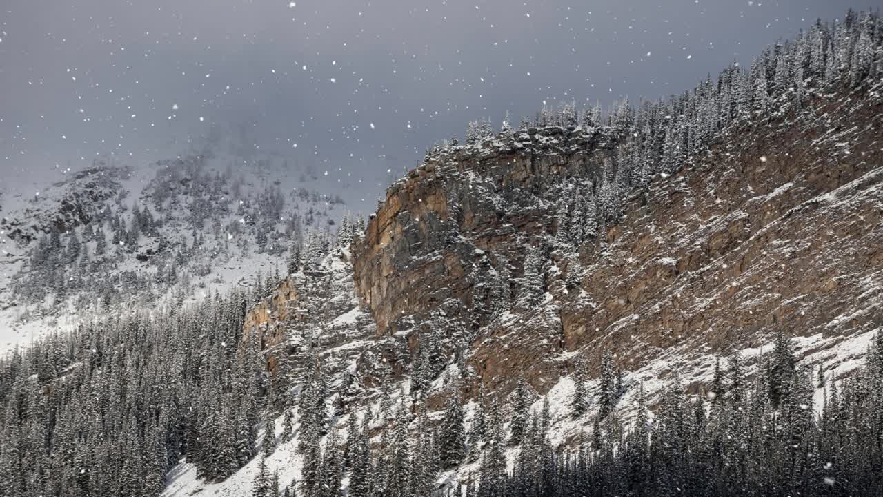 动画的雪落在现在的标签在冬季景观视频素材