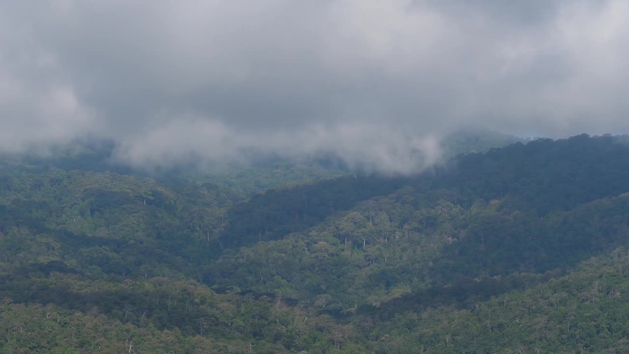 快速关闭b卷场景的阴影从多云的天空爬过森林树木的山视频素材