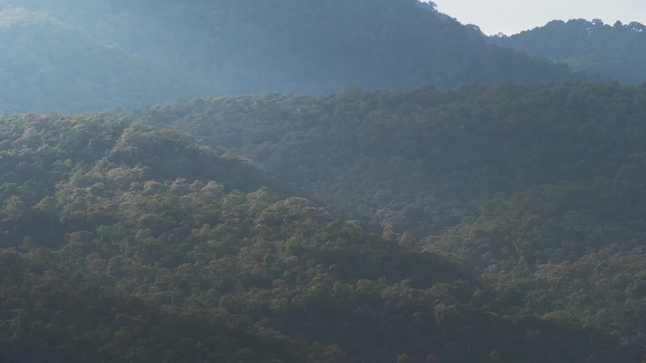 快速关闭b卷场景的阴影从多云的天空爬过森林树木的山视频素材