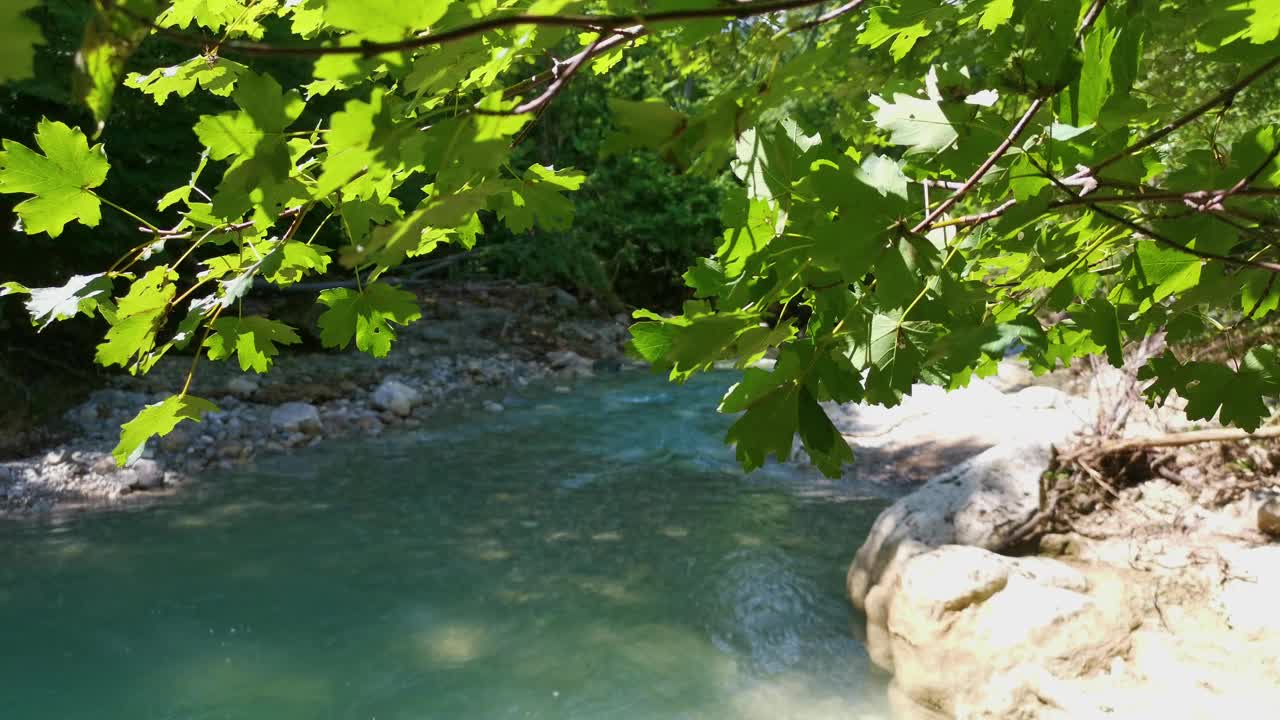 夏天的山河绿色的森林。视频素材