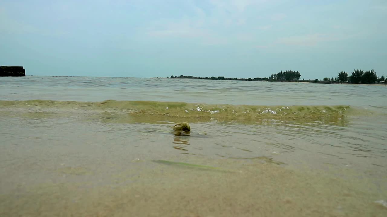 海滩上的海浪视频素材