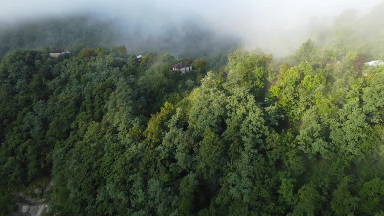 山村里有雾的早晨视频素材