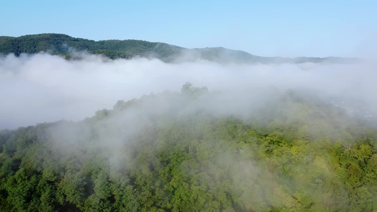 晴朗的早晨，雾蒙蒙的山林上空视频素材