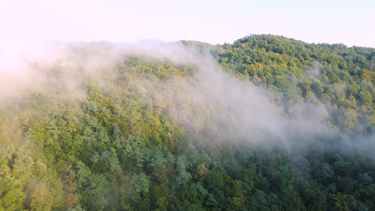 雾山森林天线视频素材