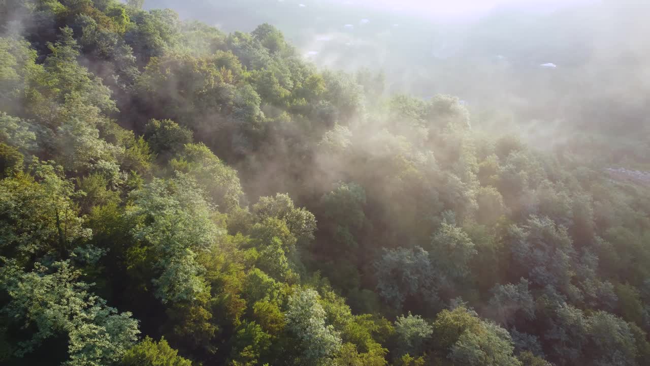 山中有雾的山林视频素材