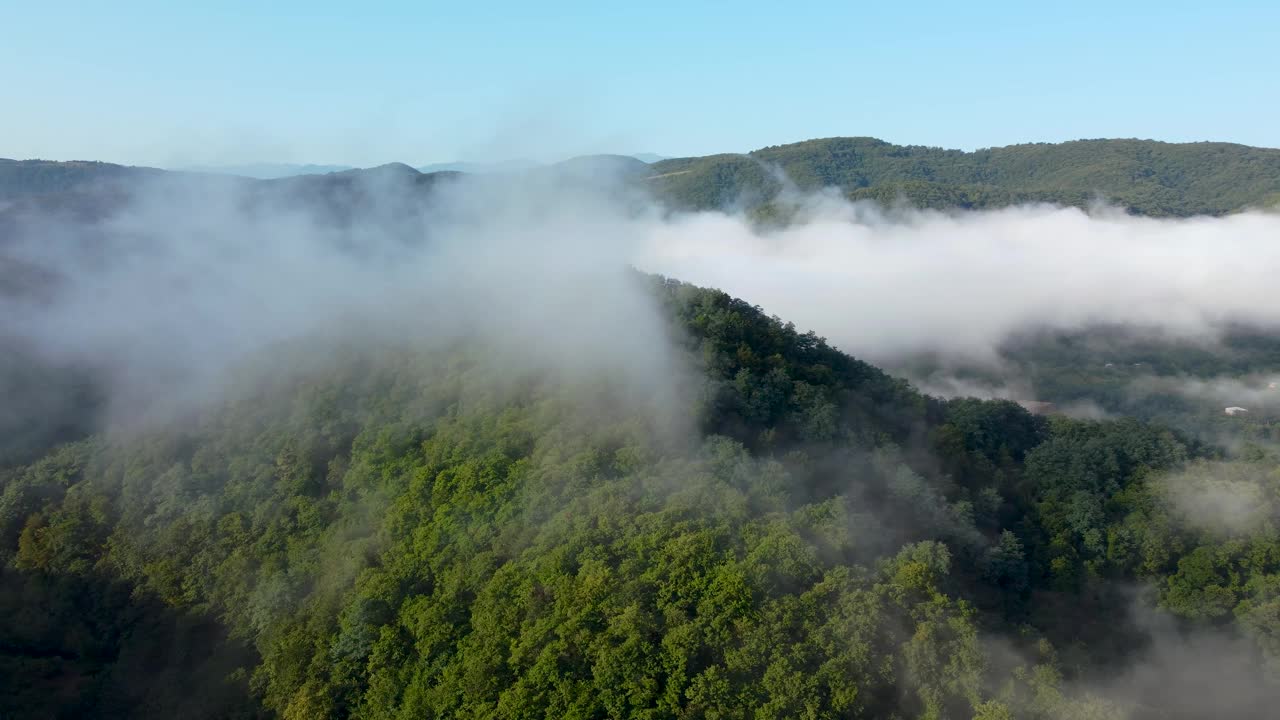 清晨雾蒙蒙的群山和森林视频素材