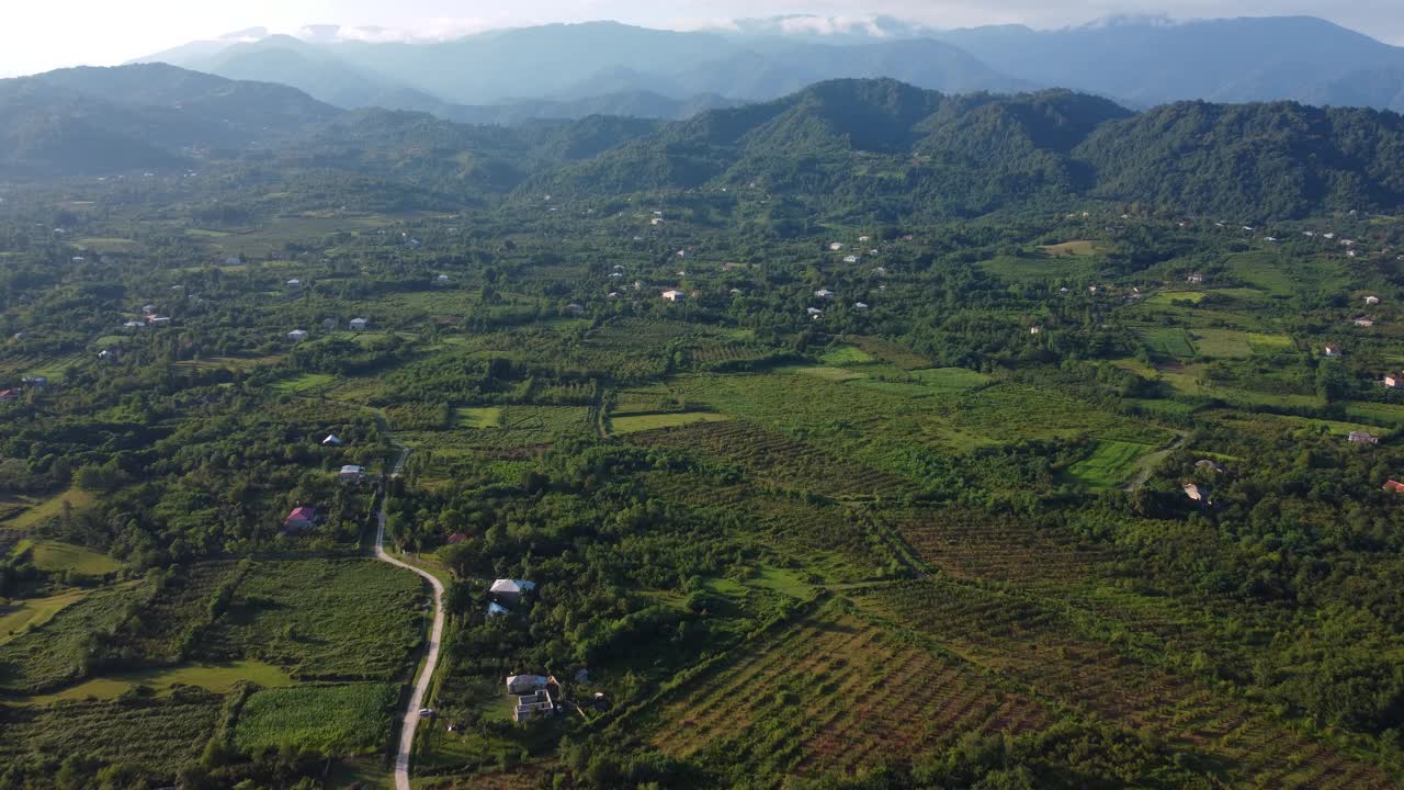 绿色山村里的花园视频素材