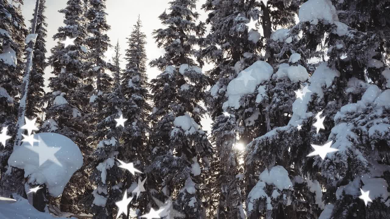 动画的星星和雪落在冬季景观视频素材